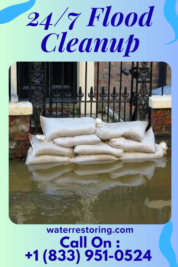 24/7 Flood Cleanup in Meadville, MS