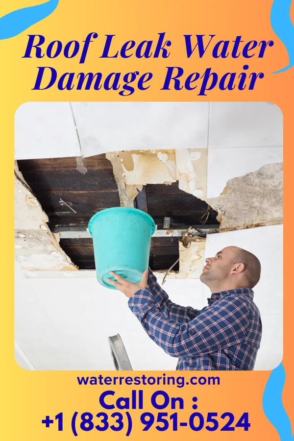 Roof Leak Water Damage Repair in Meadville, MS