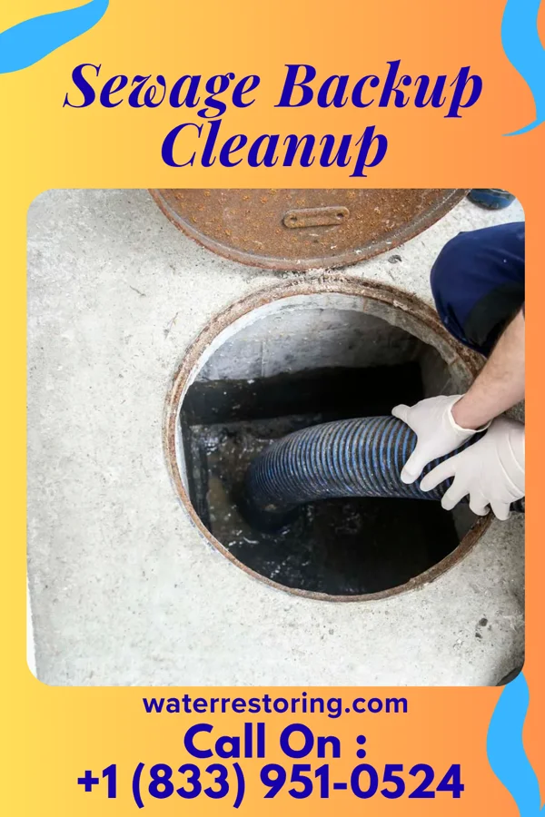 Sewage Backup Cleanup in Meadville, MS