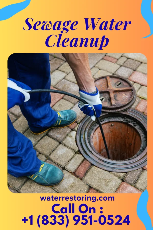 Sewage Water Cleanup in Meadville, MS